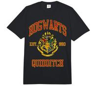 Harry Potter | Offizielles Hogwarts-Schul-Merch | WBUHPT09 Comfort Colors Adult Heavyweight T-Shirt
