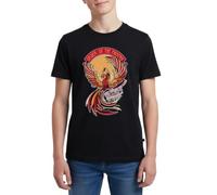 Harry Potter Phönix Fawkes Teenager Premium T-Shirt