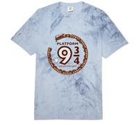 Harry Potter Platform 9 3/4 Hogwart Railways Comfort Colors Adult Heavyweight T-Shirt