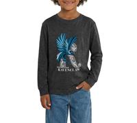 Harry Potter Ravenclaw Silver Monochrom Teenager Premium Langarmshirt