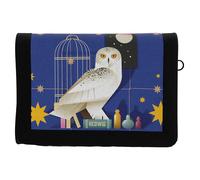 Harry Potter Set Of Wallet And Schlüsselanhänger