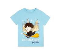 Harry Potter T-Shirt Für Jungen | Hogwarts Welttag des Buches T Shirt | Baumwoll-Jungen-T-Shirts | Blau 134