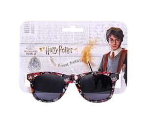 Harry Potter - Warner Brothers - Kinder Premium Sonnenbrille