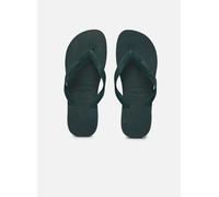 Havaianas - Zehensandalen Top Senses - grün - Größe 35 - 36
