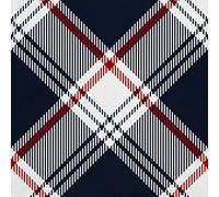 HEKO PANELS Stoff Oxford Wasserdichte Meterware Canvas-Stoff Polyester Stoff Zum Nähen Nähstoffe Dekostoffe Wasserabweisend Blickdicht Kariert 5 Meter 155 x 500 cm