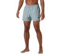 Helly Hansen Newport Trunk grey cactus stripe aop (485) M