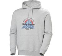 Helly Hansen Core Graphic Hoodie grey melange (946) XL