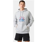 Helly Hansen Core Graphic Hoodie grey melange (946) L