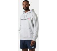 Helly Hansen Core Graphic Hoodie grey melange (947) L