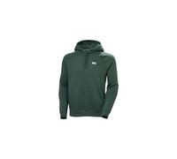 Helly Hansen Elevate Hoodie grün - S