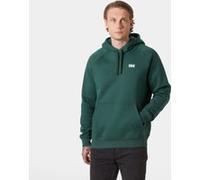 Helly Hansen Elevate Hoodie grün - M
