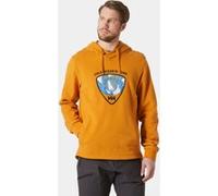 Helly Hansen Arctic Ocean Hoodie 2.0 mustard graphic (399) M