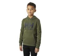 Helly Hansen Junior Unisex Jr HH Logo Kapuzenpullover 2.0, Grün, 14