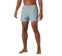 Helly Hansen Newport Badehose für Herren, 485 Grau Kaktus Streifen Aop, XXL