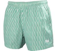 Helly Hansen Newport Trunk 4,5" dark mint offset stripe ao (472) M