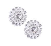 Hemobllo 10 Stück Silberne Legierung Strass Knöpfe Rund Selbstgemacht Schmuckaccessoires für Frauen Kreative Bastelverzierung für Kleidung Hochzeiten und Alltag