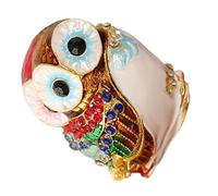 Heoscus Sichere Schmuckvitrine Aus Metall Elegante Organizer Für Leicht Zugänglichen Reise Schmuckkoffer