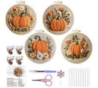 Herbstdeko Kürbis Stickset Set Anfänger, 4er Set Kreuzstich Set Vorgedruckt, Herbst Deko Kürbis Stickerei Erwachsene, Sticken Nadelspitze DIY Kit mit Stickwerkzeug für Kunsthandwerk Dekoration (E)