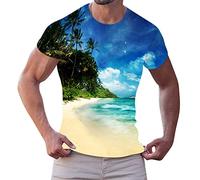 Herren 3D Drucken Tshirt Hawaii Druck Oversize T Shirt Männer Kurzarm T Shirt Sommer Kurzarmshirt Sport Shirts Basic Tops Streetwear Blau XXL