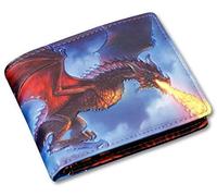 Herren Gothic-Geldbörse mit Drache - Fire from The Sky - geprägt | Fantasy-Geldbeutel, Mehrfarbig