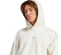 HERREN HOODIE M A SZN G HD (IY6594) S