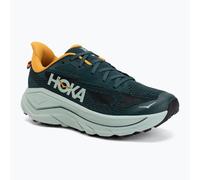 Herren Laufschuhe HOKA Challenger 8 bay leaf/sage