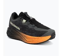 Herren-Laufschuhe Salomon Aero Glide 4 GRVL urban chic/black