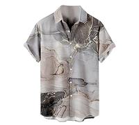 Herren Mode Frühling Sommer Lässige Kurzarm Umlegekragen Bedruckte T Shirts Top Bluse Herren Hemden Langarm Button down (XXL,2-Grey)
