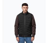 Herren-Steppweste Pitbull Naylor Padded black