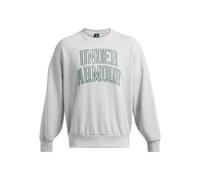 Herren-Sweatshirt ohne Reißverschluss Under Armour ICON HWT TERRY OS CREW grau 1386548-011 - XXL