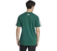 adidas Codes Collegiate Linear Graphic T-Shirt Herren JJ3869 - collegiate green L