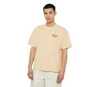 HERREN T-SHIRT RUSTBURG TEE SS (DK0A4YSMJ381) M