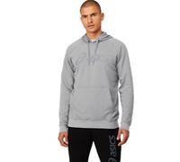 Herren Tennissweatshirt Asics Big Asics Oth M - glacier grey/piedmont grey - Grau (L)