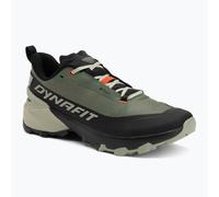 Dynafit Herren Transalper 2 GTX Schuhe (Größe 46.5, gruen)