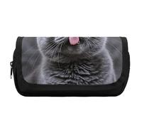 HETVBNS Federmäppchen mit blauer Katze, extra groß, doppellagiges Federmäppchen mit Reißverschluss, tragbare Kosmetiktasche für Reisen, Büro, Schreibwaren-Organizer für Damen und Herren