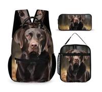 HETVBNS Labrador Retriever Rucksack-Set, 3-teilig, robuster Rucksack, isolierte Lunchtasche, tragbares Federmäppchen für Männer und Frauen
