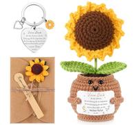 HICARER Freunde Geschenke Weihnachten Abschiedsgeschenk Dankeschön Geschenke für Kollegin Frauen Gestrickte Positive Blumentopf Sonnenblume für Lehrer(Vielen Dank)