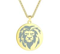 Hmsanase Halskette Ketten Schmuck Herren Frauen Anhänger Necklace Gravierte Löwe Disc Charm Anhänger Halskette Für Männer Punk Einfache Gold-Farbe