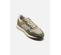 Hoff - CITY M - Grün - Sneaker - Größe 43