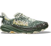 Hoka Men's Speedgoat 6 GORE-TEX Sea Glass/Fern 44