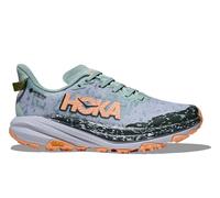 HOKA Speedgoat 6 GTX (Damen) Laufschuhe 42 2.3 lila