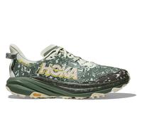 Hoka Men's Speedgoat 6 GORE-TEX Sea Glass/Fern 46 2/3