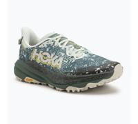 HOKA Speedgoat 6 GTX Herren Laufschuhe sea flass/fern