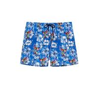 HOM - Beach Boxer - Colibris - P0BI