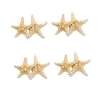 Homoyoyo 8 Stck Handgefertigte Fünfzackige Seestern Haarklammern Strand Haarspangen Damen Mädchen Natürliche Eleganter Haarschmuck für Party Hochzeit Alltag Zufällige Zufällige Farbe