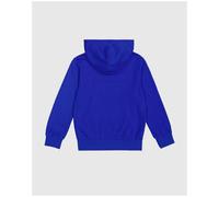 CHAMPION Hooded Sweatshirt BAI, XL