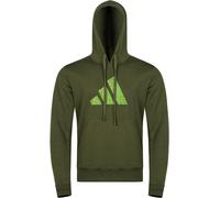 Hoodie ADIDAS PERFORMANCE "Perfo Script Graphic Hoody" Sweatshirts Gr. XXL, grün Herren Hoodies (33768338-XXL)