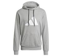 Hoodie adidas Sportswear Future Icons Logo Graphic Grau XS