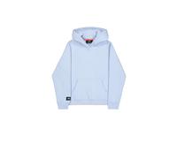 Hoodie ALPHA INDUSTRIES "Label Hoodie Backprint ", Herren, Gr. XXL, artic blau, Obermaterial: 80% Baumwolle, 20% Polyester, regular fit, Sweatshirts Hoodie (76074965-XXL) artic blau