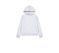 Alpha Industries Kapuzensweatshirt Herren grau, L